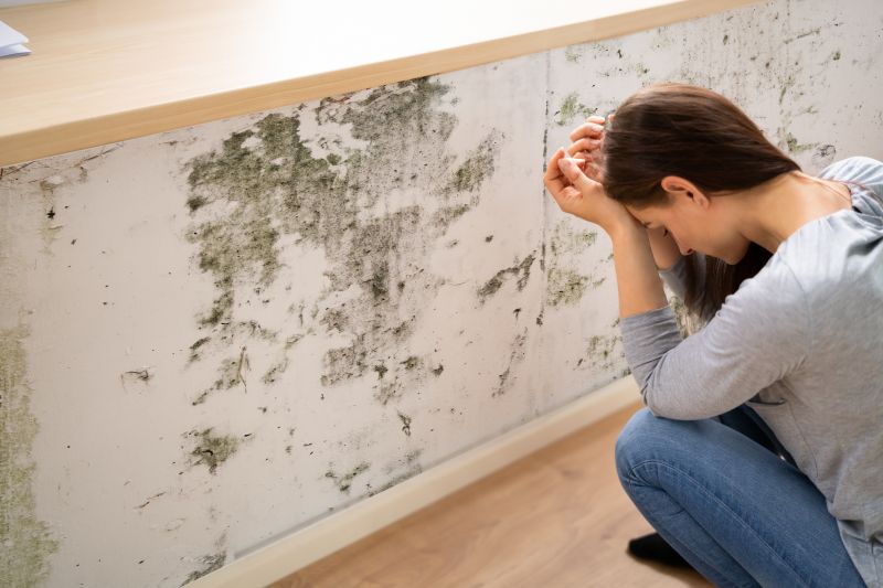 Attic Mold Remediation in Fort Lauderdale, FL