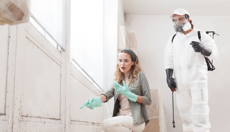 Basement Mold Remediation in Dallas, TX