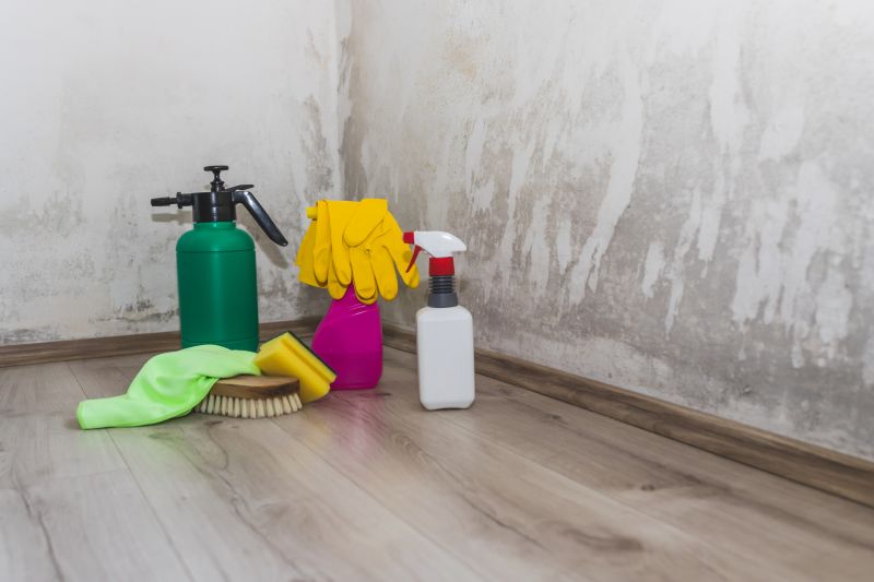 Black Mold Remediation in Fort Worth, TX