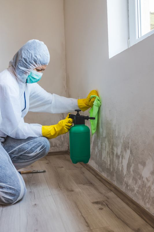 Crawlspace Mold Remediation in Essex County, NJ