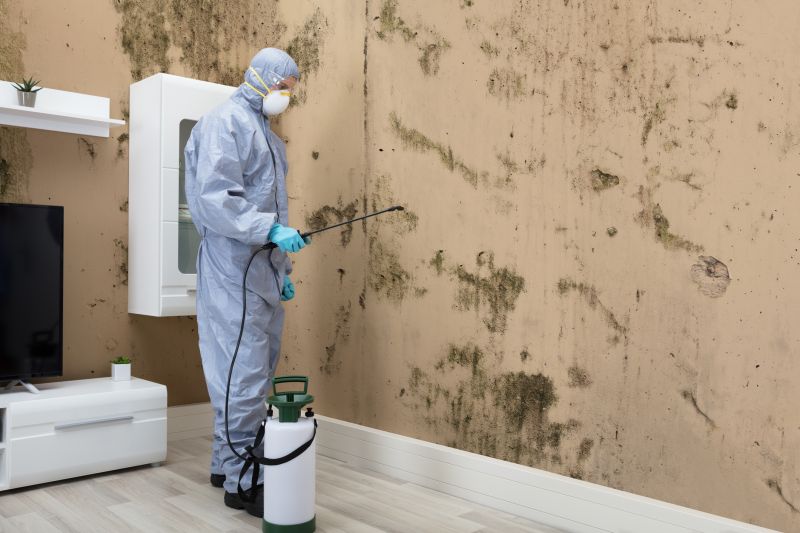 Mold Inspection And Removal in Pompano Beach, FL