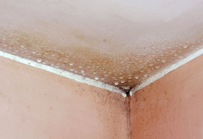Basement Mold Remediation in Fort Lauderdale, FL