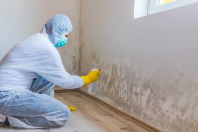 Garage Mold Remediation in Dallas, TX