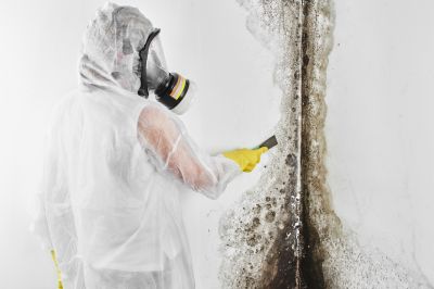 Mold Cleanup Service in Fort Lauderdale, FL