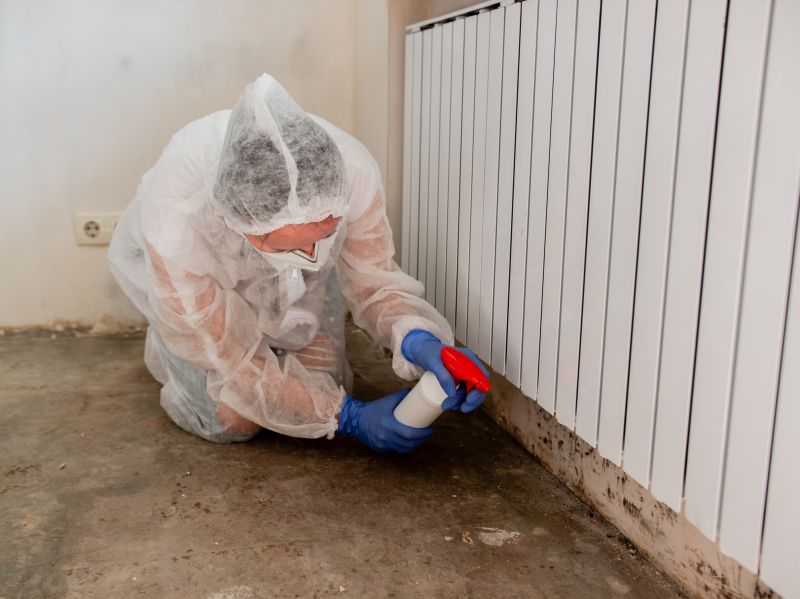Mold Removal in Boca Raton, FL