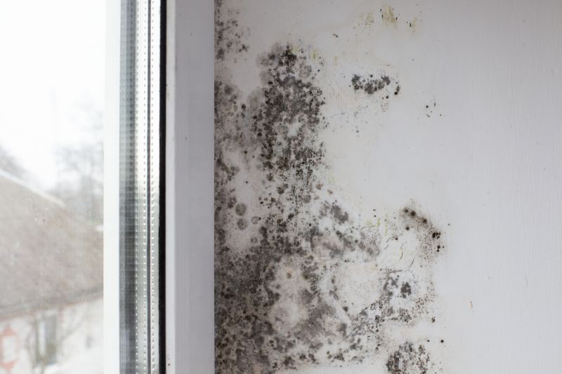 Mold Removal in Boca Raton, FL