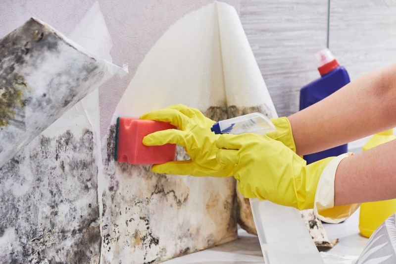 Mold Removal in Boca Raton, FL