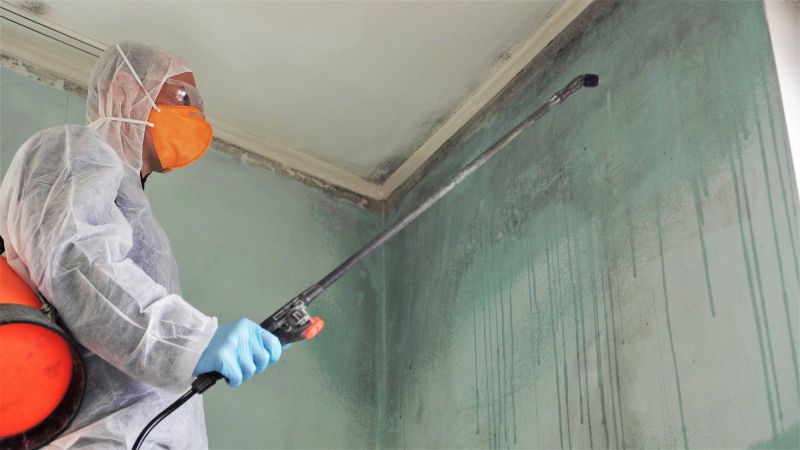 White Mold Mitigation in Broward County, FL
